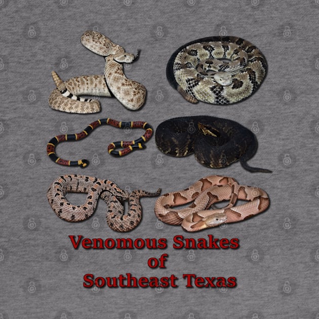 Venomous Snakes of Southeast Texas by Paul Prints